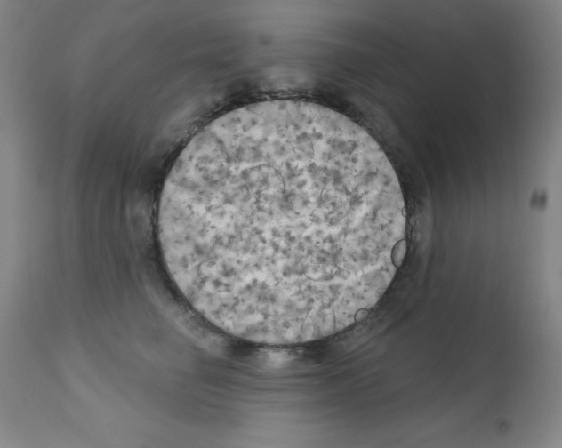 X0000111480662200908251003