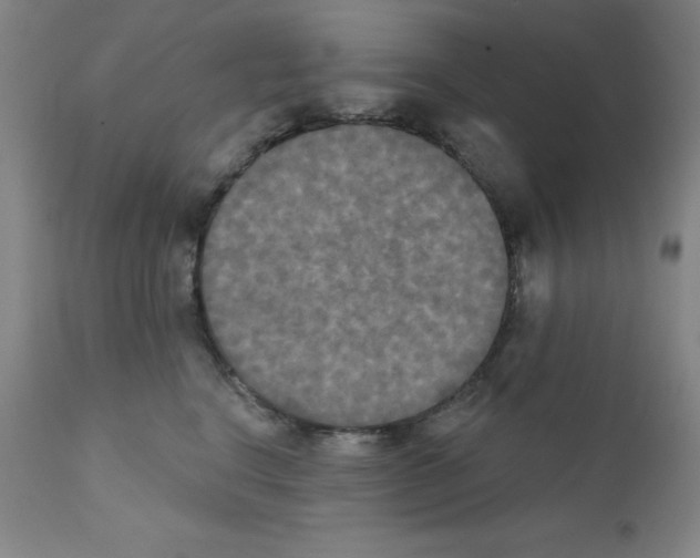 X0000111480664200908251003
