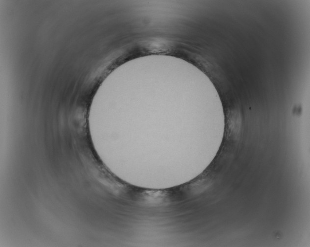 X0000111480667200908251003