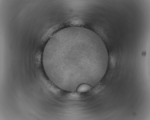 X0000111480668200908251003