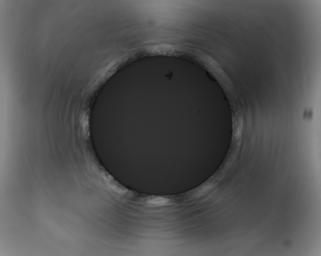 X0000111480669200908251003