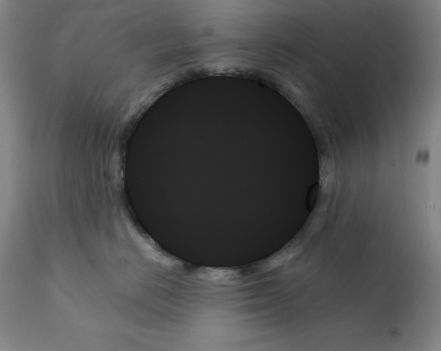 X0000111480670200908251003