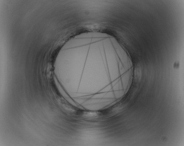 X0000111480671200908251003