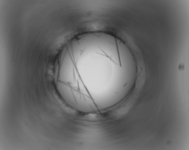 X0000111480672200908251003