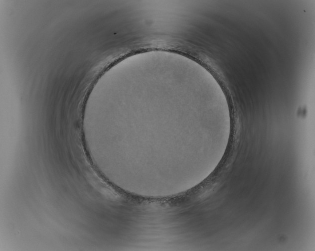 X0000111480673200908251002