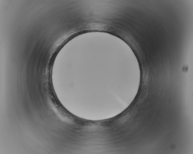 X0000111480674200908251002