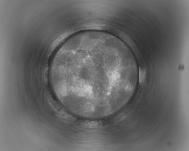 X0000111480675200908251002
