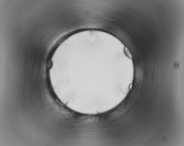 X0000111480676200908251002