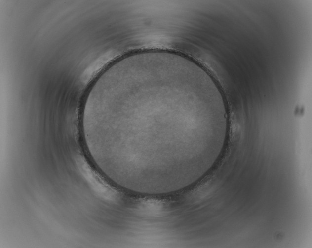 X0000111480677200908251002