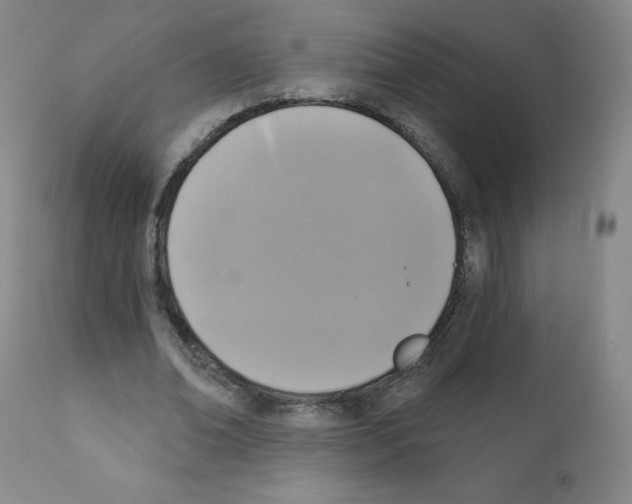X0000111480678200908251002