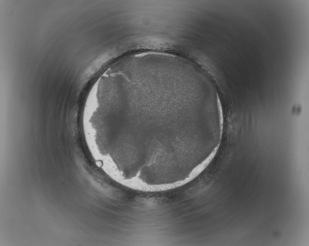 X0000111480679200908251002