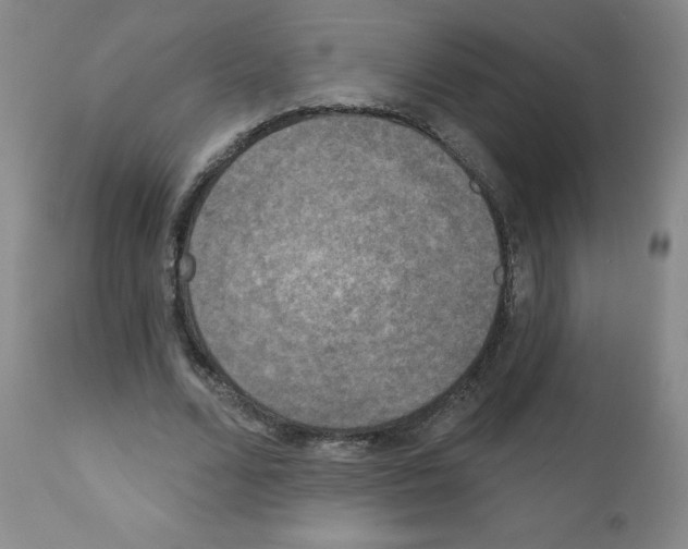 X0000111480680200908251002