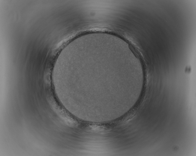 X0000111480681200908251002