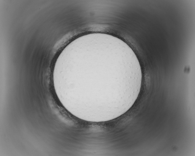 X0000111480682200908251002