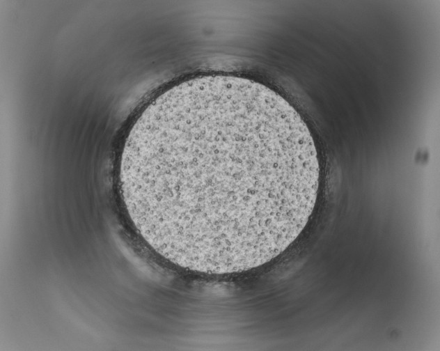 X0000111480683200908251002
