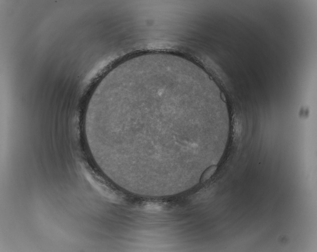 X0000111480684200908251002