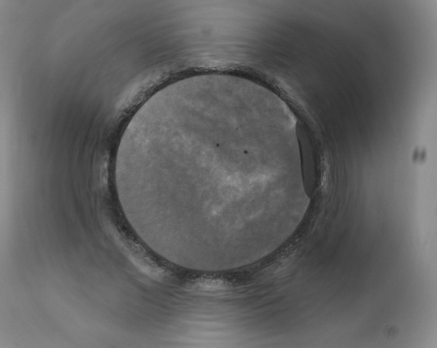 X0000111480685200908251001