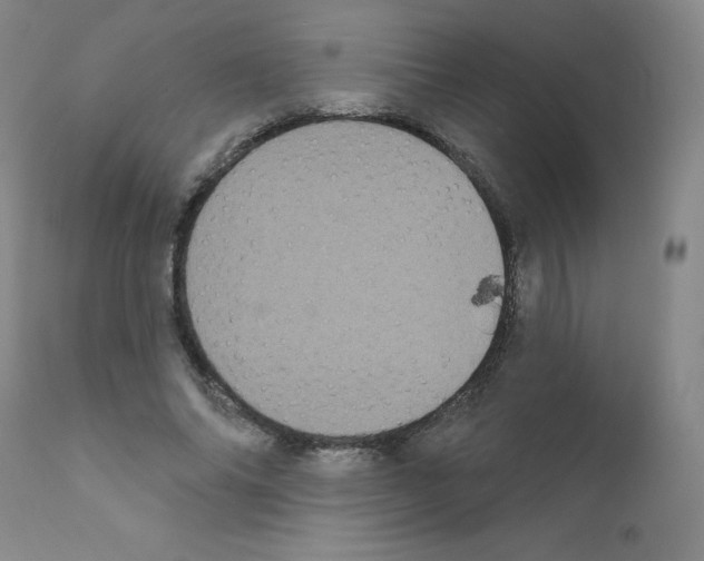 X0000111480686200908251001