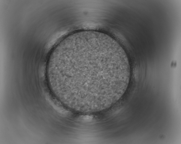 X0000111480687200908251001