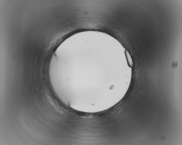 X0000111480688200908251001