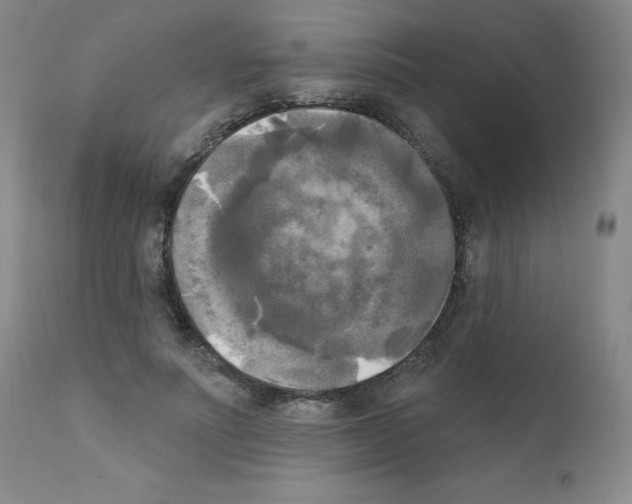 X0000111480691200908251001