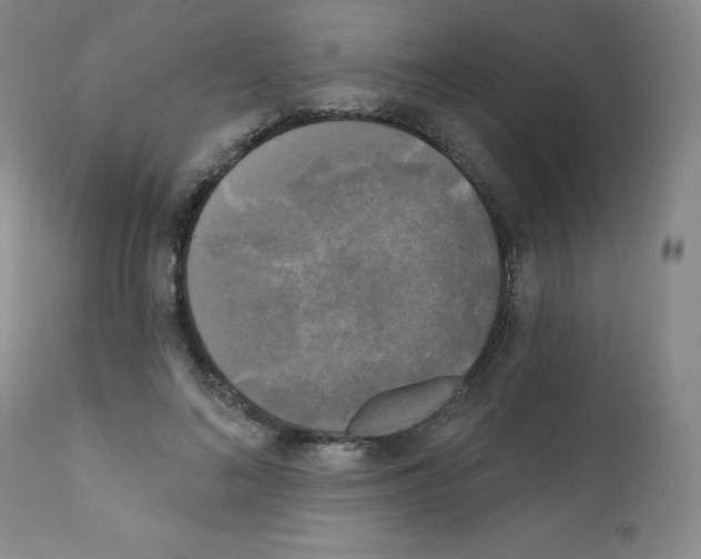 X0000111480692200908251001
