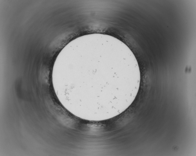 X0000111480693200908251001