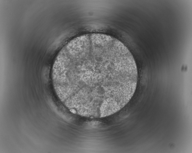 X0000111480695200908251001
