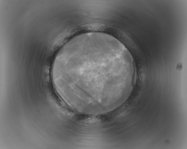 X0000111480696200908251001