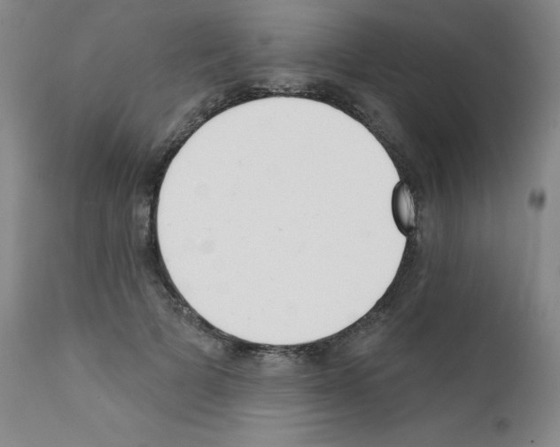 X0000111480697200908251001