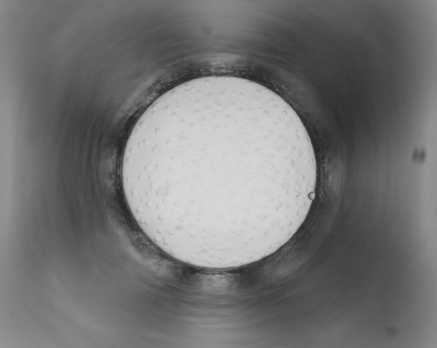 X0000111480698200908251001
