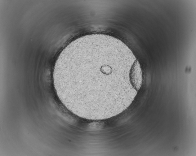 X0000111480700200908251001