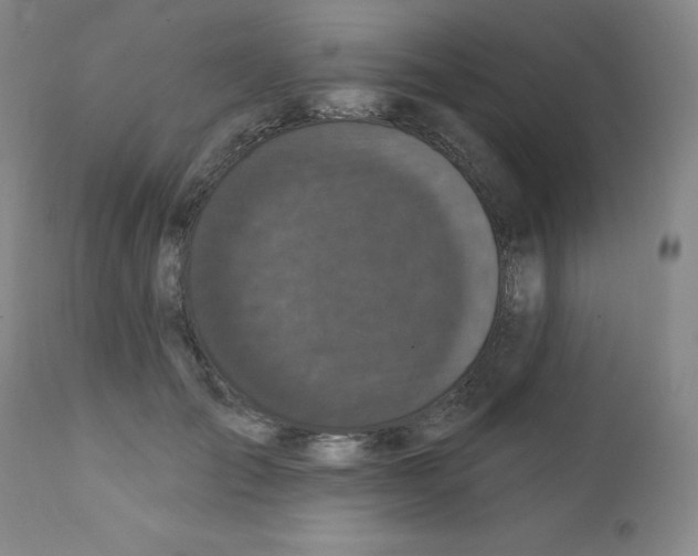 X0000111480701200908251001