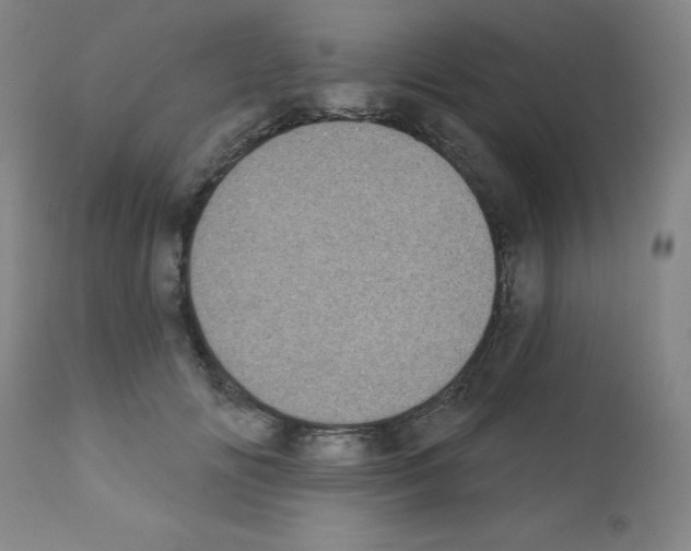 X0000111480702200908251001