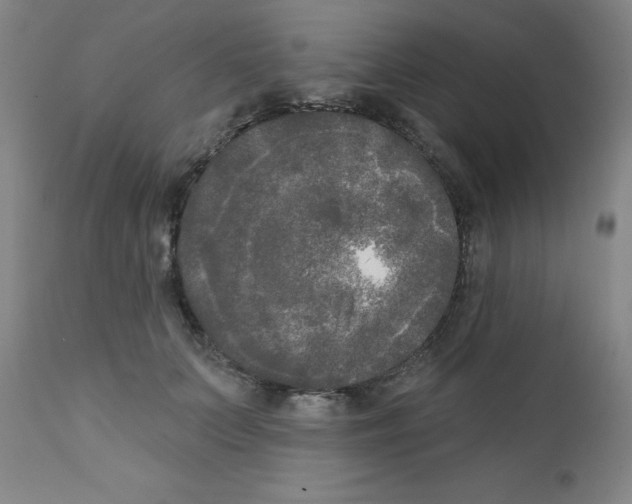 X0000111480703200908251001