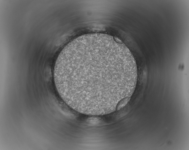 X0000111480704200908251001