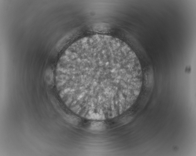 X0000111480705200908251001