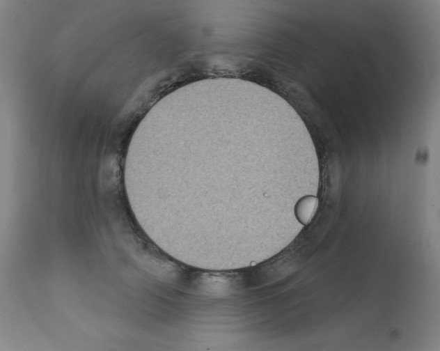 X0000111480706200908251001