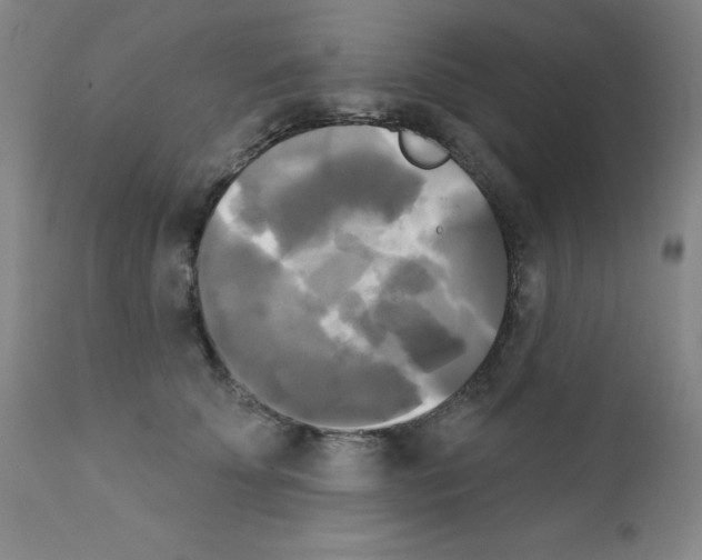 X0000111480707200908251001