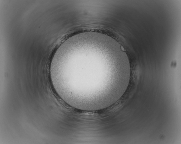 X0000111480708200908251001