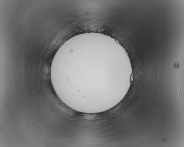 X0000111480709200908251001