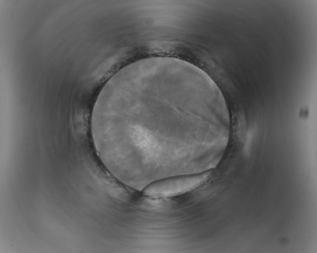X0000111480712200908251001