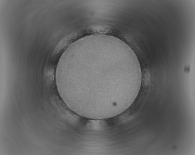 X0000111480713200908251001