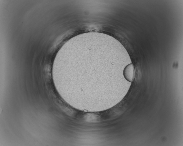 X0000111480714200908251001