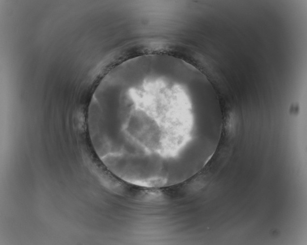 X0000111480715200908251001