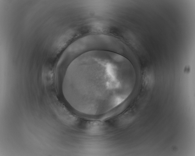X0000111480716200908251001