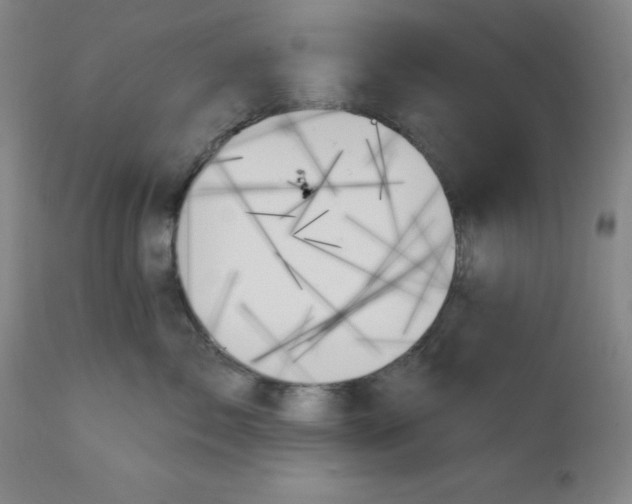 X0000111480717200908251001