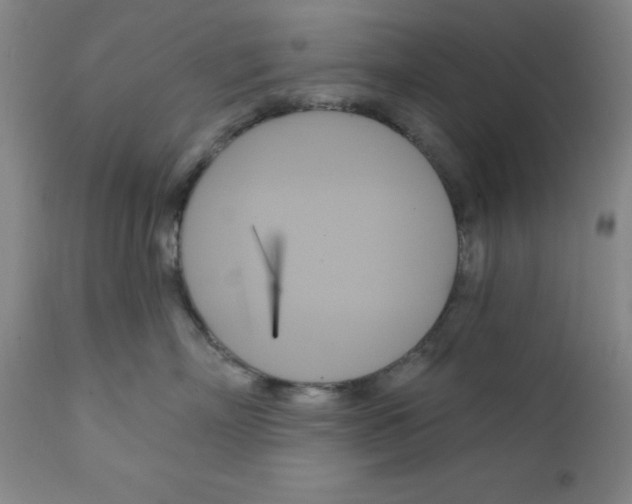 X0000111480718200908251001