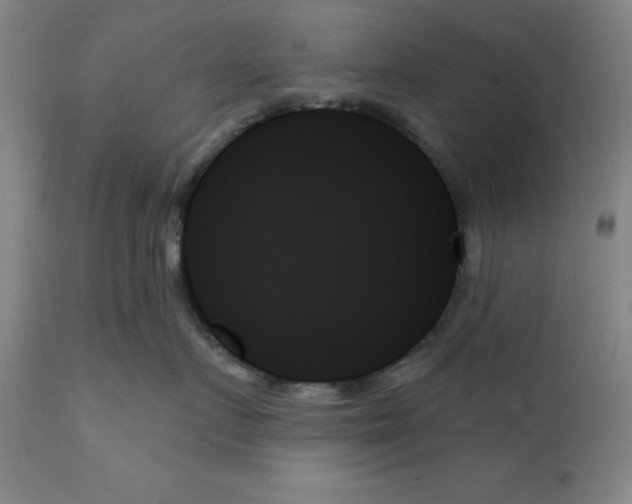 X0000111480719200908251001