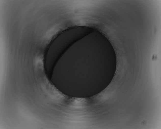 X0000111480720200908251001
